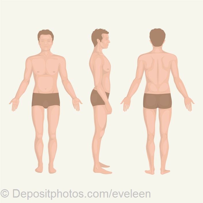  man body anatomy, front, back and side standing vactor human pose  — Grafika wektorowa